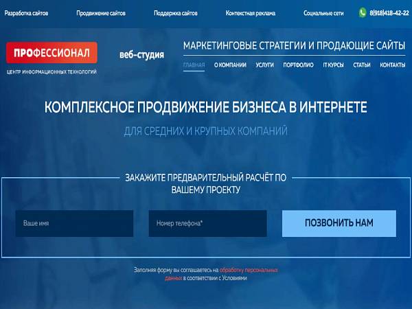 Проект - "Профессионал"